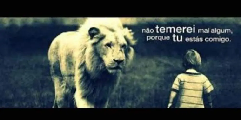 Imagem do grupo de WhatsApp Obstinados