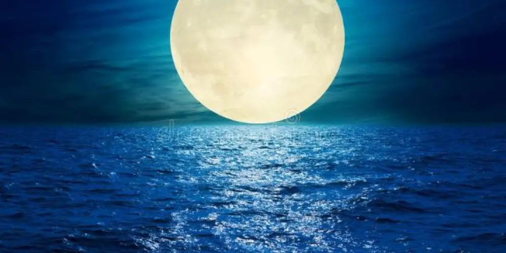 Imagem do grupo de WhatsApp OCEAN BLUE🌊 2.0