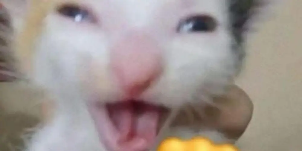 Imagem do grupo de WhatsApp Oh Shit ❌