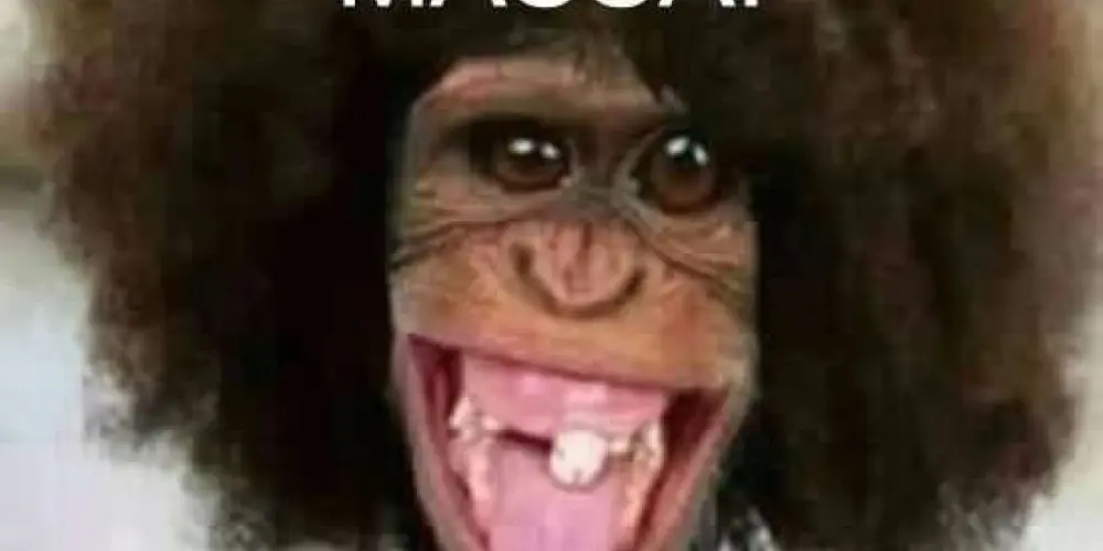 Imagem do grupo de WhatsApp ᑕᑌᖇᑌᖇᑌ ᒪOᗰᗷᖇIᘜᗩ ᗴՏᗰᗩᘜᗩᗪᗩ