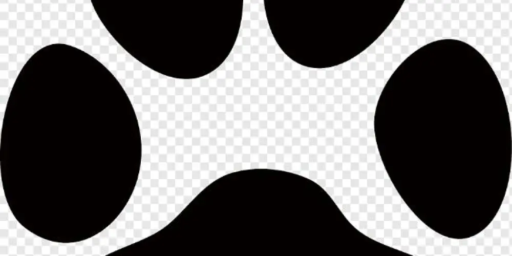 Imagem do grupo de WhatsApp OIFUR