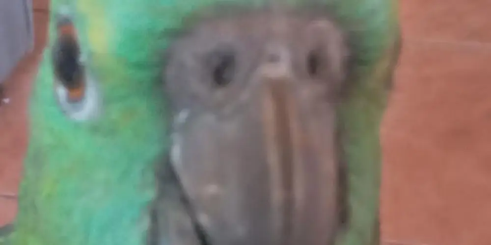 Imagem do grupo de WhatsApp Olhou entrou😌✋️