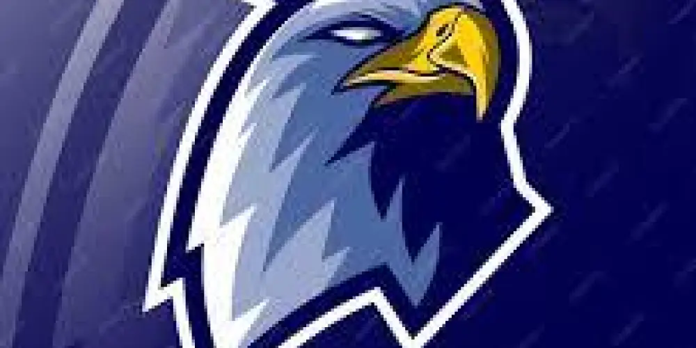 Imagem do grupo de WhatsApp OLX BRASIL