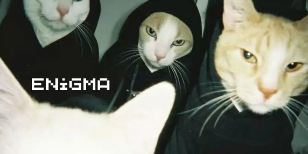 Imagem do grupo de WhatsApp Omegaverse Roleplay