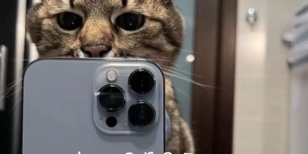 Imagem do grupo de WhatsApp ⚜️🚸ｔｈｅㅤｃｒａｚｙ one 🚸⚜️