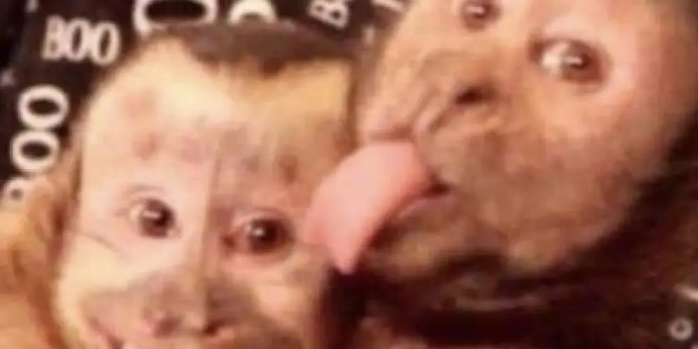 Imagem do grupo de WhatsApp only kittys