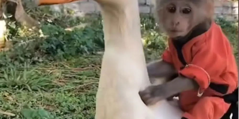 Imagem do grupo de WhatsApp 📍 ONLYFRIENDS 💨