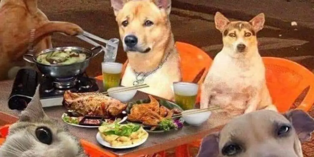 Imagem do grupo de WhatsApp Onlyfriends