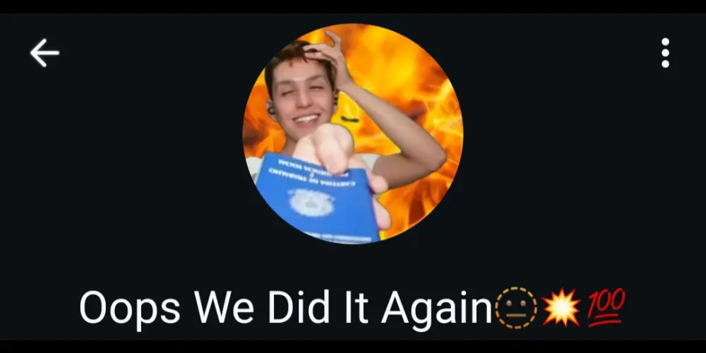 Imagem do grupo de WhatsApp Oops We Did It Again