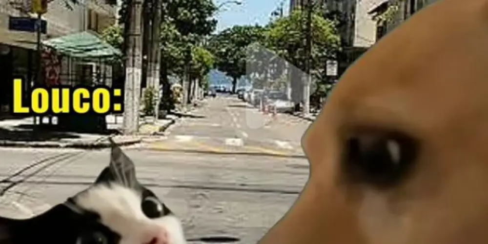 Imagem do grupo de WhatsApp Oprimidos