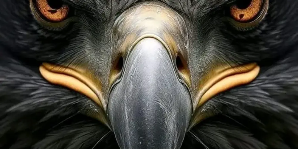 Imagem do grupo de WhatsApp Oração e batalha espiritual