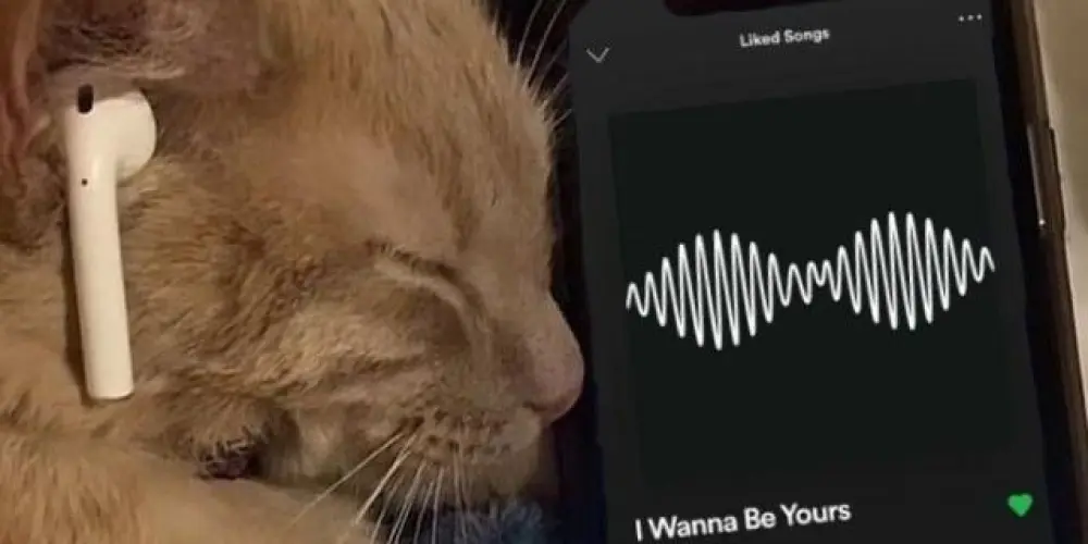 Imagem do grupo de WhatsApp 🔥ൗ࿆Ᏼꝶ᧐ωꞃ'ʂ「RESENHA」1🚸