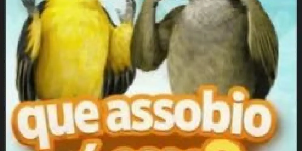 Imagem do grupo de WhatsApp org do assobio