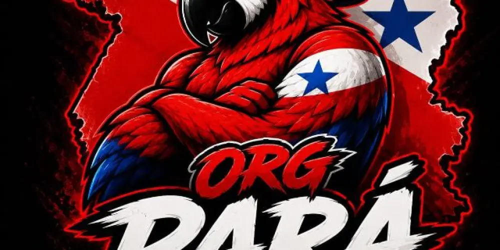 Imagem do grupo de WhatsApp ORG PARÁ