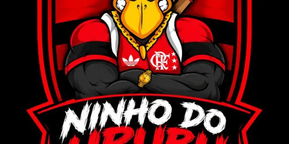 Imagem do grupo de WhatsApp ORGANIZADA NINHO DO URUBU OFICIAL