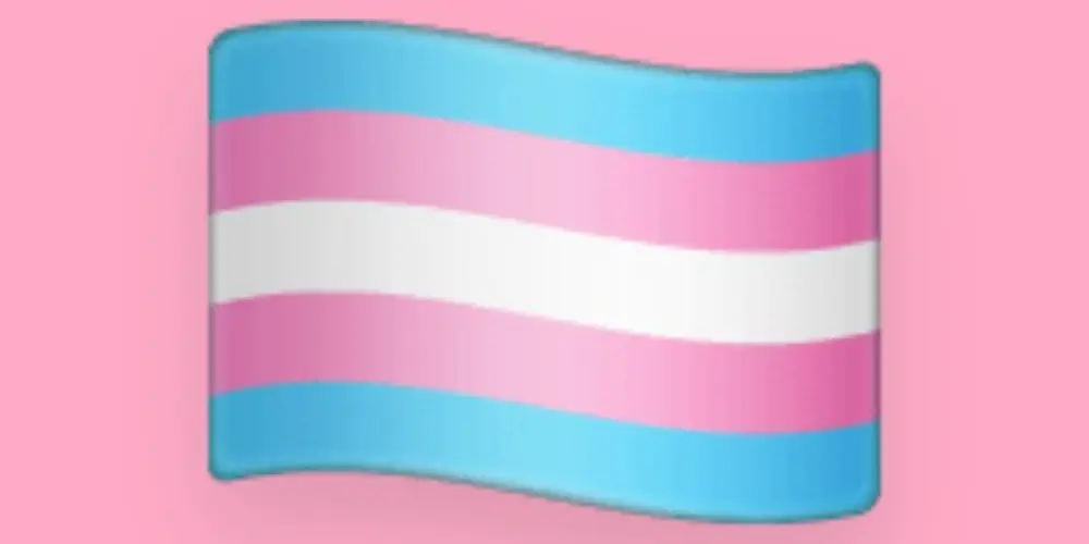 Imagem do grupo de WhatsApp 🏳️‍⚧️ Orgulho Trans