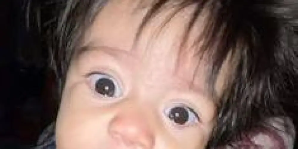 Imagem do grupo de WhatsApp 《Os 💯 ɴᴏᴄ̧ᴀ̃ᴏ》