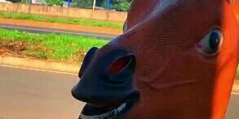 Imagem do grupo de WhatsApp Os alienígena 👽👽