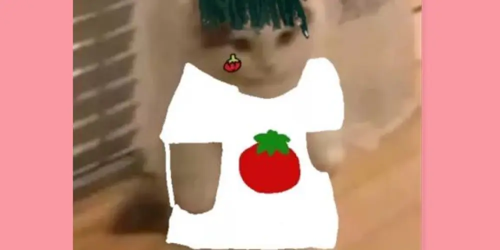 Imagem do grupo de WhatsApp os bagunceiros😂