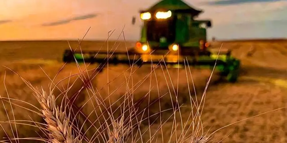 Imagem do grupo de WhatsApp Os brutos sistemático 🤠🫶🏻