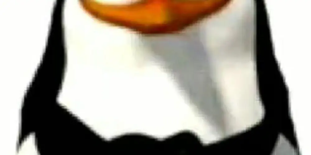 Imagem do grupo de WhatsApp os cabaleixos do caribo hehe😹