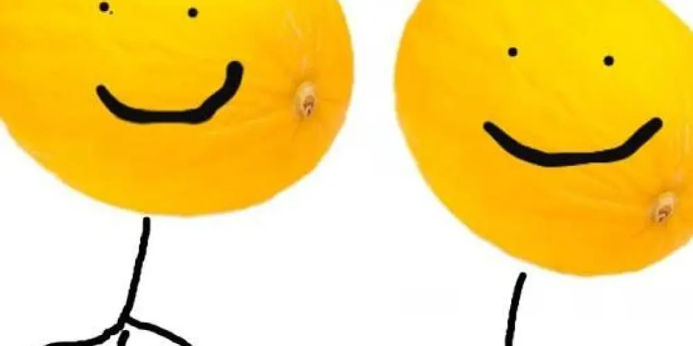 Imagem do grupo de WhatsApp ⁖℘༒OS CABEÇA DE MELÃO⁖℘༒