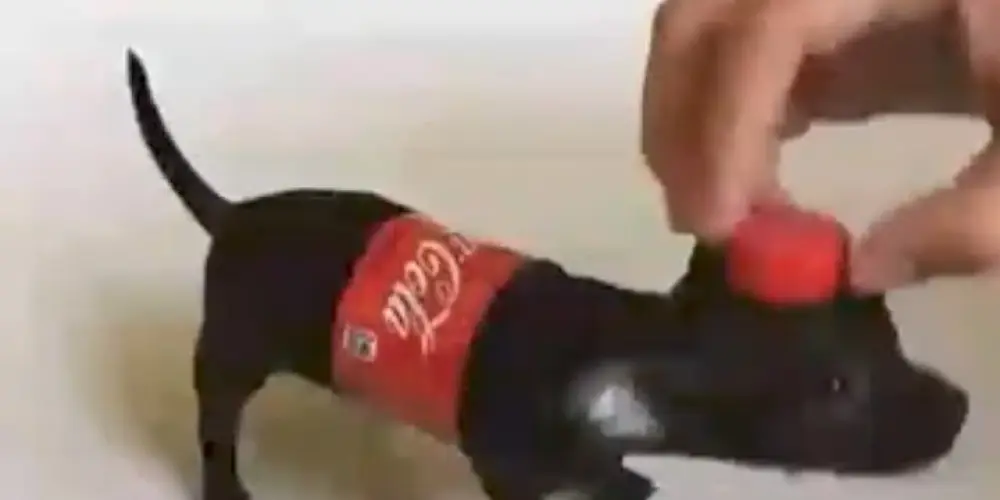 Imagem do grupo de WhatsApp Os cara da noite 😎