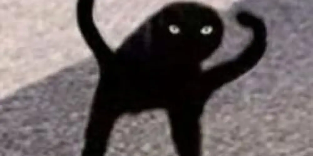 Imagem do grupo de WhatsApp Os cinco solteirões🤡