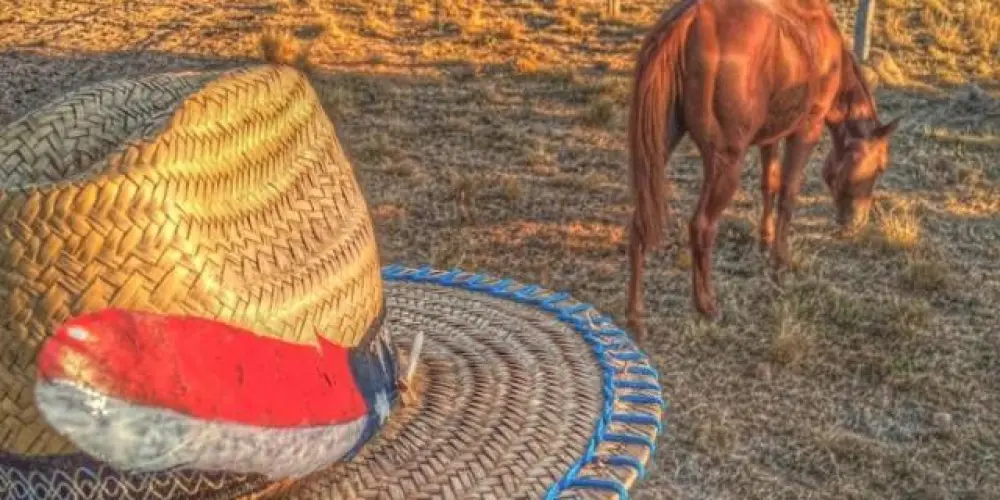 Imagem do grupo de WhatsApp os country 🤠