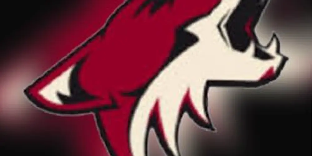 Imagem do grupo de WhatsApp OS COYOTES DE SP