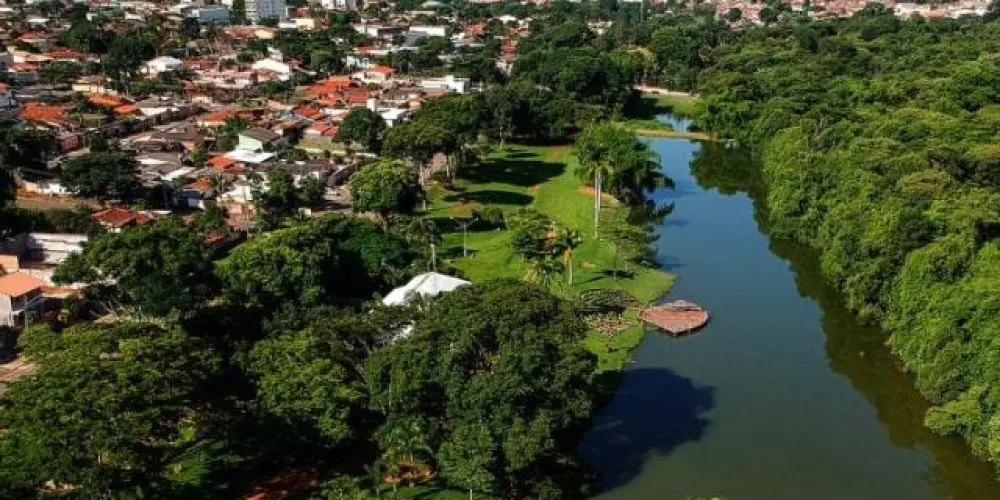 Imagem do grupo de WhatsApp Os de Goiás 🌱🇳🇬