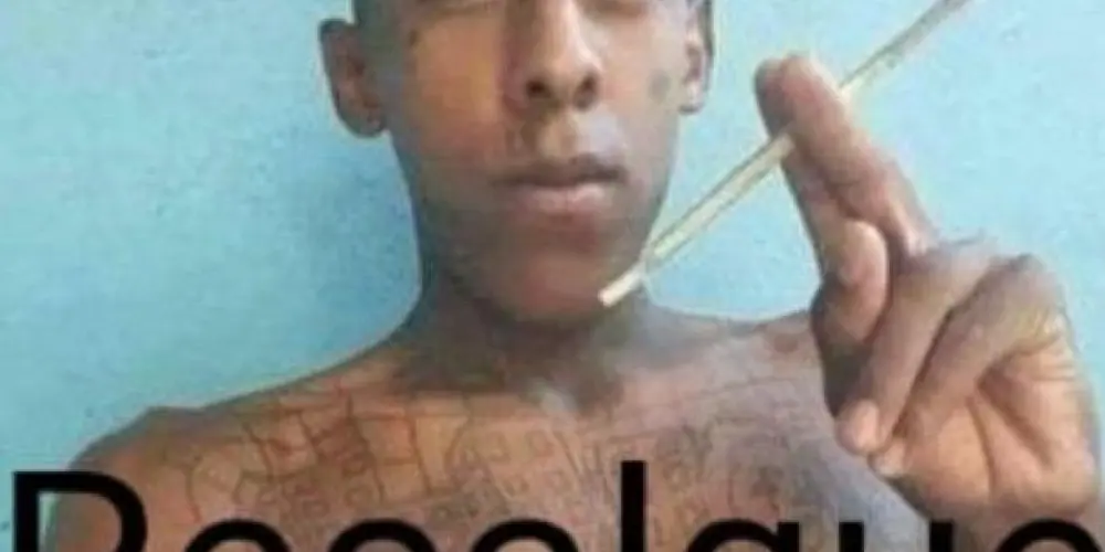 Imagem do grupo de WhatsApp Os dementes 🎀