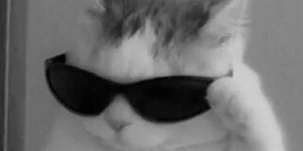 Imagem do grupo de WhatsApp Os desbravadores😉🍷