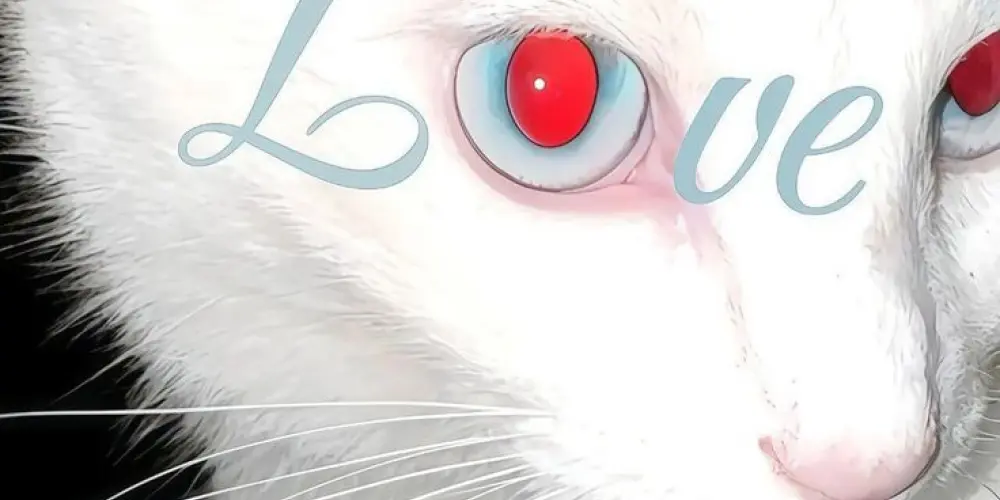 Imagem do grupo de WhatsApp Os Desconfiados