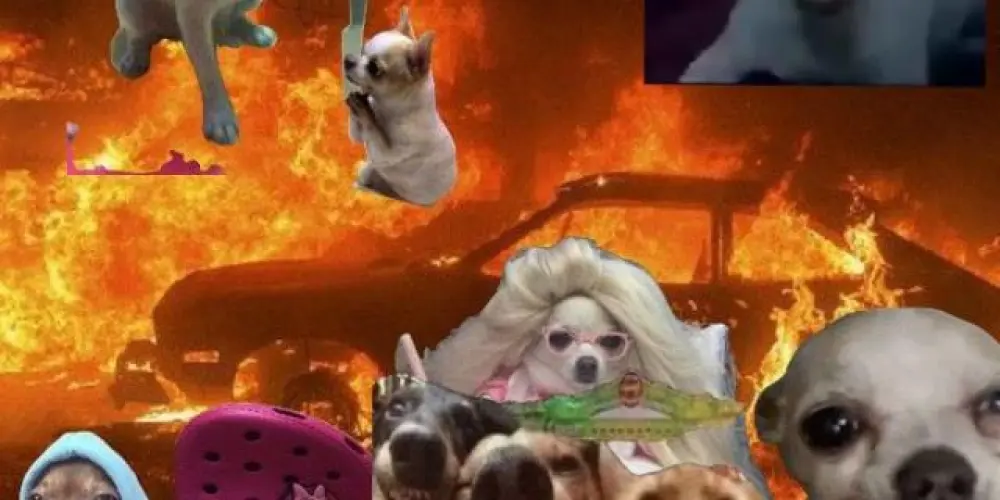 Imagem do grupo de WhatsApp Os desocupado 💯