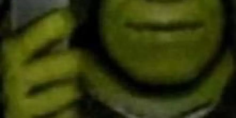 Imagem do grupo de WhatsApp Os desocupados