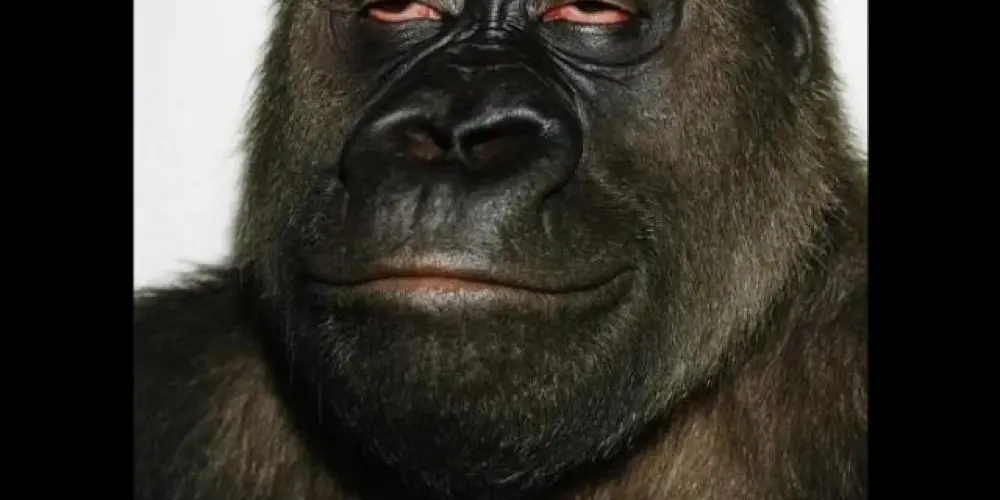 Imagem do grupo de WhatsApp ~-Os desocupados-~