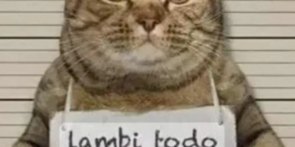 Imagem do grupo de WhatsApp Os desocupados