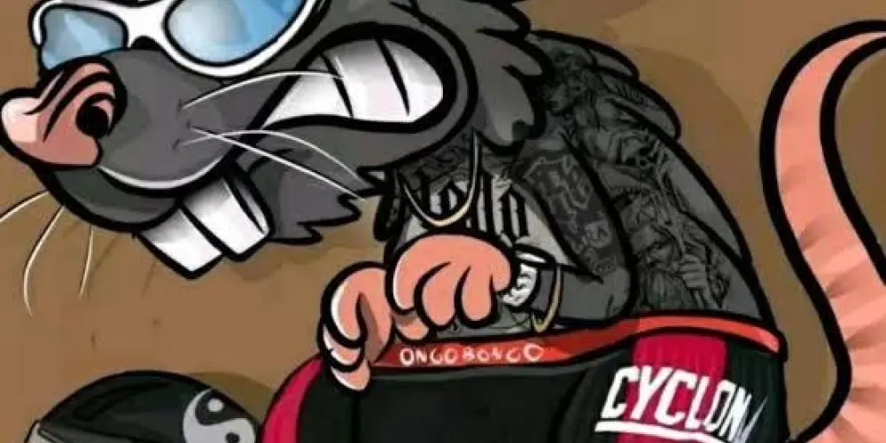 Imagem do grupo de WhatsApp Os do 081💯