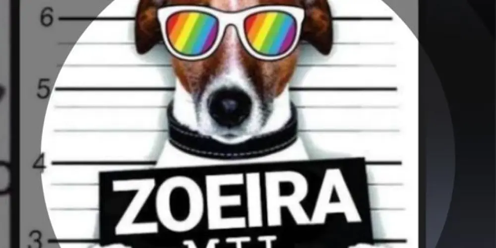 Imagem do grupo de WhatsApp Os doido de Indaiatuba