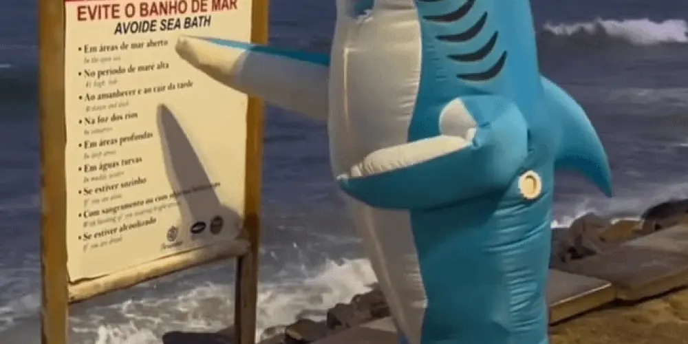 Imagem do grupo de WhatsApp Os Donzelos • Recife