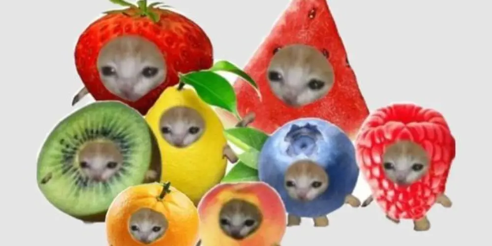 Imagem do grupo de WhatsApp OS ESTRANHOS 2