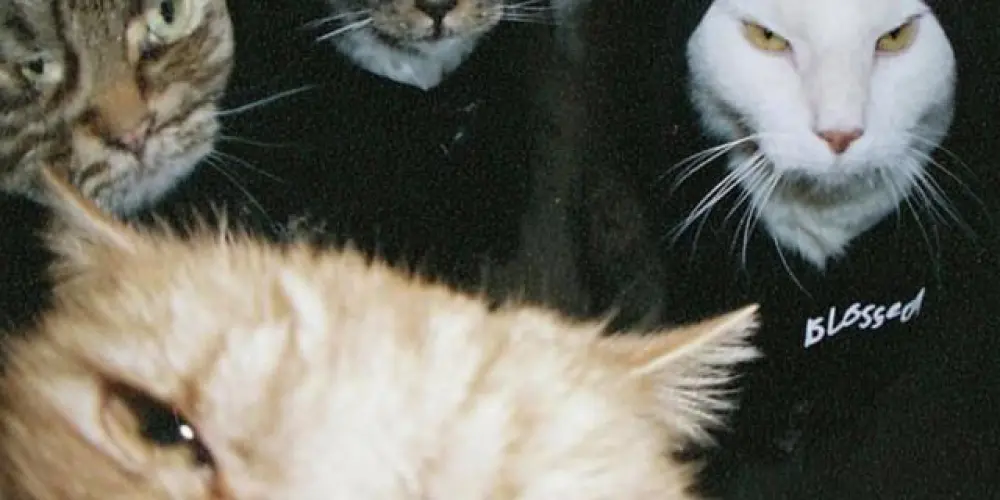 Imagem do grupo de WhatsApp Os Excluídos 💯