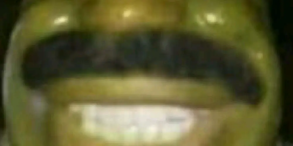 Imagem do grupo de WhatsApp Os fanfas