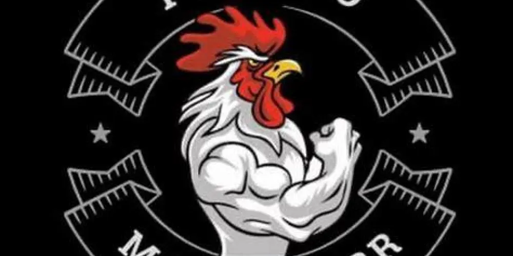 Imagem do grupo de WhatsApp OS FRANGOS 🐔