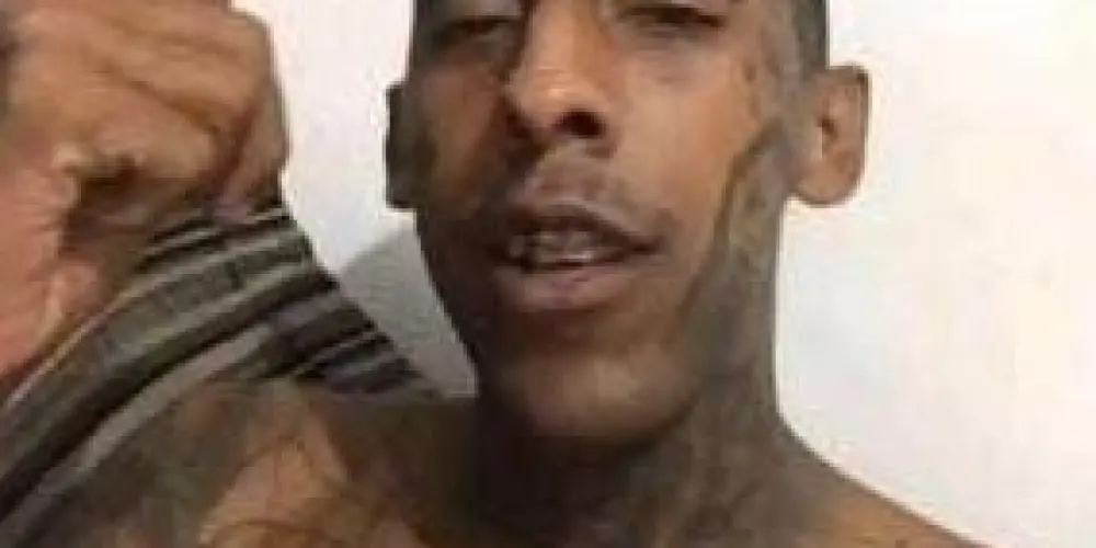 Imagem do grupo de WhatsApp Os fuleiros