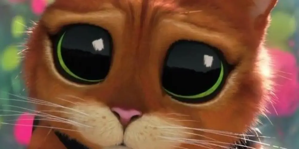 Imagem do grupo de WhatsApp Os Gatos de Botas