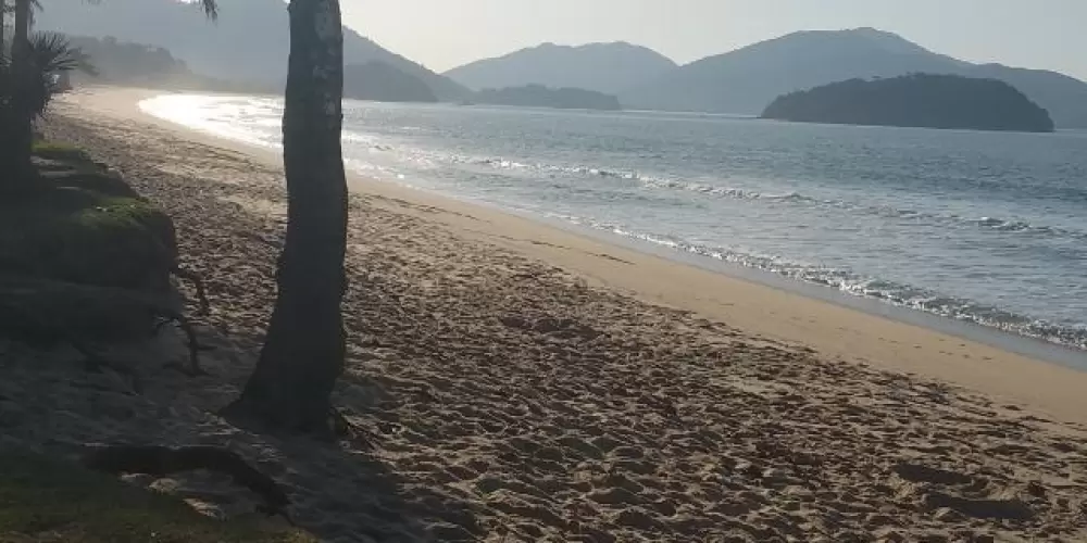 Imagem do grupo de WhatsApp Os guri de Caraguá 👻🌊🏖️