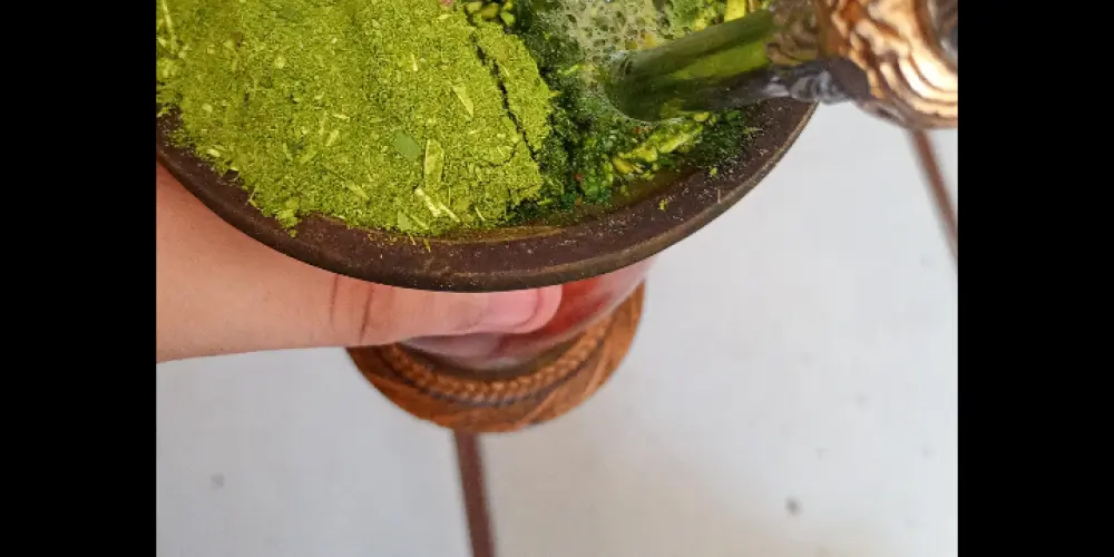 Imagem do grupo de WhatsApp Os guri do sul