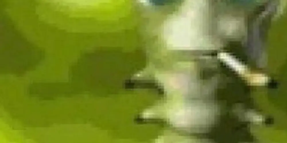 Imagem do grupo de WhatsApp OS HOMI